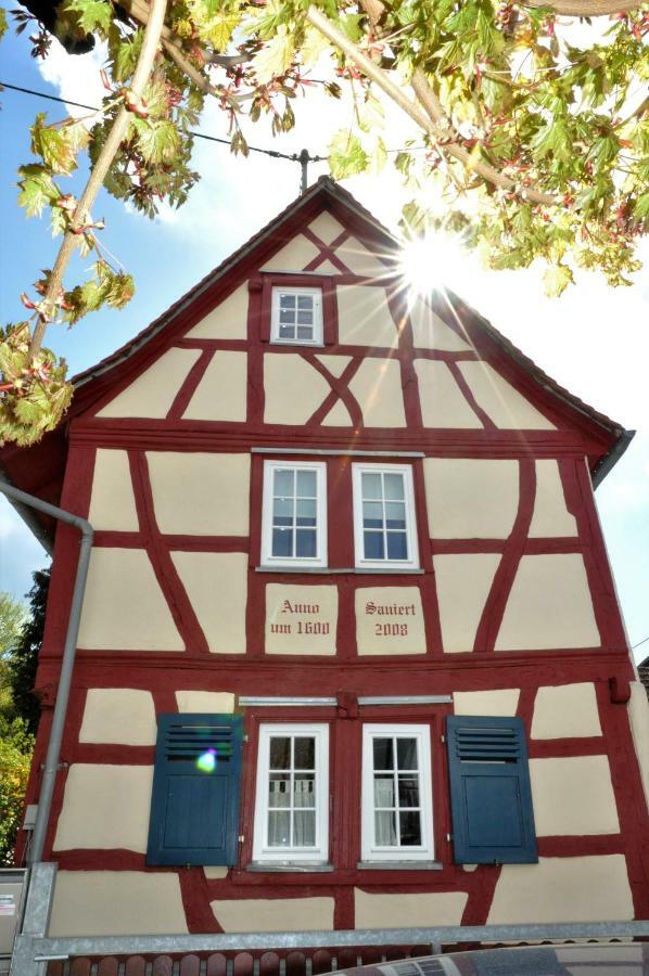Apartmenthaus Am Zimmerplatz Hofheim am Taunus Eksteriør billede
